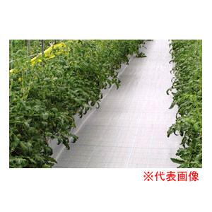防草シート ホワイトアグリシートR 50cm×100m BW2415 日本ワイドクロス 防草・多目的...
