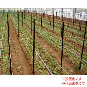 農業用支柱 コンポーズ 10本×10(100本)セット φ20×1.5m 宇部エクシモ