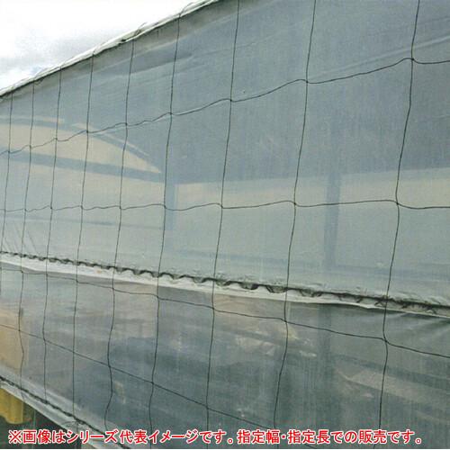 ハウス押さえネットNEO 角目 30cm 幅6m 全長80m 東京戸張【受注生産品】