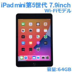 Apple iPad mini 第5世代 中古 64GB A2133 MUQW2J/A 7.9インチ スペースグレイ WiFi 動作確認済 ちょいキズ