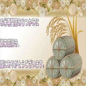 宮城県産 つや姫20kg 令和7年産 送料無料...の詳細画像1