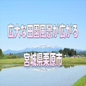 宮城県産 つや姫20kg 令和7年産 送料無料...の詳細画像2