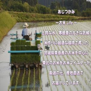 宮城県産 つや姫20kg 令和7年産 送料無料...の詳細画像5