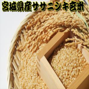 30kg 玄米 ササニシキ 一等米 宮城県産 令和3年産 15kg×2袋（石抜き等調整済み）