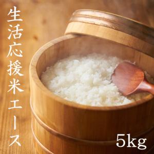 生活応援米 エース 5kg ブレンド米 東北産 (宮城県産 岩手県産) 送料無料 複数原料米 【LINE友達登録で200円OFFクーポン配布中】米 白米 白米5kg×1袋