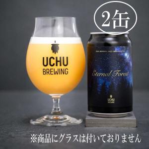 うちゅうブルーイング　Eternal Forest  350ml　2缶　宇宙ビール　　　｜obasaketen