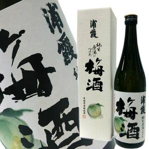 麦焼酎 いいちこ 3本飲み比べセット (いいちこ25度 日田全麹 西の星