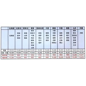 丸善 シーサーかまぼこ 100g 沖縄そばのト...の詳細画像2