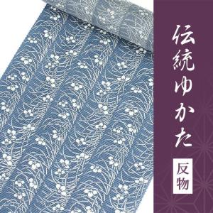 小紋 夏 盛夏 単衣 東京 新粋染 着尺 生地 反物 男女兼用 絹紅梅 日本