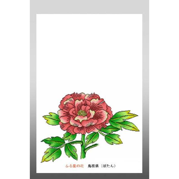 花  イラスト ポストカード 絵葉書 イラスト画「ふる里の花」島根県（ボタン）