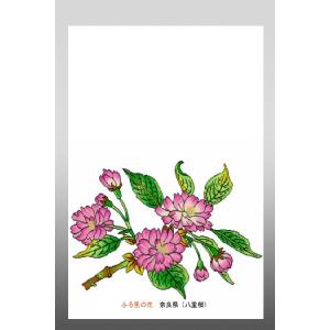 花 イラスト ポストカード 絵葉書 イラスト画「ふる里の花」奈良県（ヤエザクラ）｜obikura