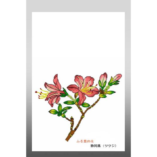花 イラスト ポストカード 絵葉書 イラスト画「ふる里の花」静岡県（ツツジ）