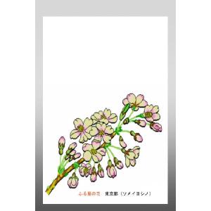 花 イラスト ポストカード 絵葉書 イラスト画「ふる里の花」東京都（ソメイヨシノ）｜obikura