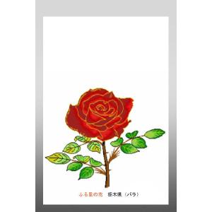 花 イラスト ポストカード 絵葉書 イラスト画「ふる里の花」栃木県（バラ）