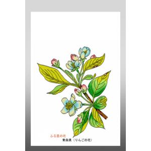 花 イラスト ポストカード 絵葉書 イラスト画...の詳細画像1