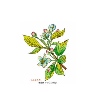 花 イラスト ポストカード 絵葉書 イラスト画...の詳細画像2