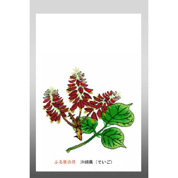 花 イラスト ポストカード 絵葉書 イラスト画「ふる里の花」沖縄〜北海道