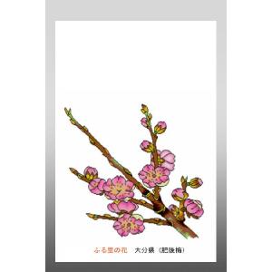 がま口財布 おび蔵 花 イラスト 47都道府県の花 ふる里の花 花 イラスト ポストカード 絵葉書 Yahoo ショッピング