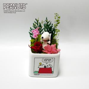 スヌーピー リトルガーデン　誕生日やお礼、お祝いのサプライズギフトに