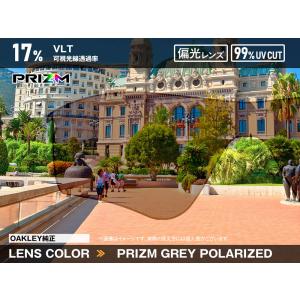 オークリー ハーフジャケット2.0 101-1...の詳細画像1
