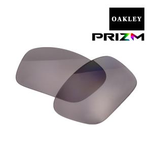 オークリー ストレートリンク サングラス 交換レンズ プリズム 偏光 102-778-004 OAKLEY STRAIGHTLINK PRIZM GREY POLARIZED｜oblige