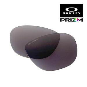オークリー　アクチュエーター　OakleyActuator 偏光レンズ　プリズム OAKLEY（オークリー） アクチュエーター 103-598-002 サングラス 交換