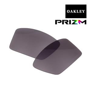 オークリー ケーブルズ サングラス 交換レンズ プリズム cabls-pgry OAKLEY CABLES PRIZM GREY｜oblige