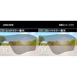 イーエスエス スポーツサングラス 交換レンズ ...の詳細画像4
