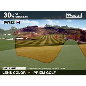 オークリー レーダーロック パス oo9206...の詳細画像4