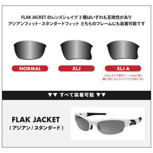 オークリー スポーツサングラス 交換レンズ フ...の詳細画像5