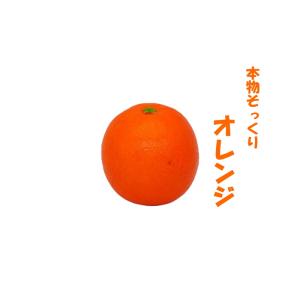 イミテーションフルーツ フェイクフルーツ 本物...の詳細画像4