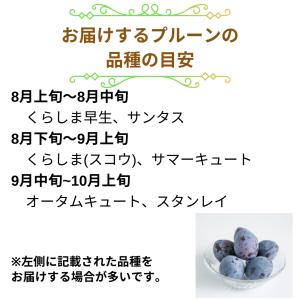 旬のプルーン 約2kg /冷蔵便 送料無料 長...の詳細画像3