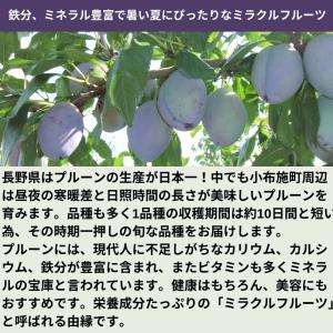 旬のプルーン 約2kg /冷蔵便 送料無料 長...の詳細画像1