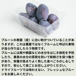 旬のプルーン 約2kg /冷蔵便 送料無料 長...の詳細画像2