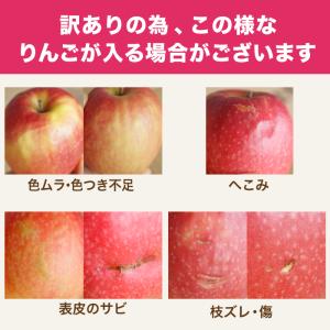 りんご ピンクレディー ご家庭用 訳あり 5k...の詳細画像1