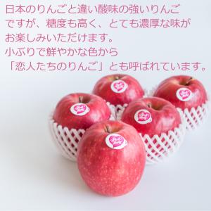 りんご ピンクレディー ご家庭用 訳あり 5k...の詳細画像4