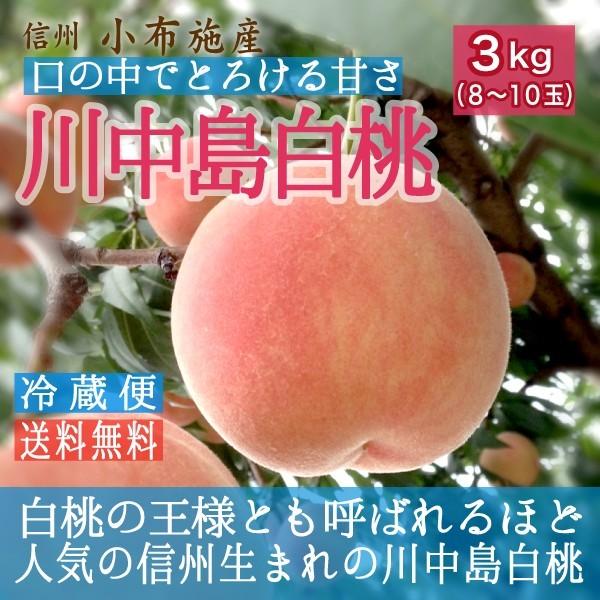 桃 川中島白桃 約3kg /冷蔵便 送料無料 長野県産 夏ギフト お中元 産地直送 フルーツ 果物 ...