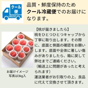 桃 川中島白桃 約3kg /冷蔵便 送料無料 ...の詳細画像2