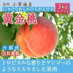 桃 黄金桃 約3kg /冷蔵便 送料無料 長野県産 夏ギフト お中元 産地直送 フルーツ 果物 信州 小布施 数量限定 爆買