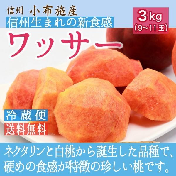 ワッサー 桃 約3kg /冷蔵便 送料無料 長野 産地直送 フルーツ 果物 信州 小布施 数量限定 ...