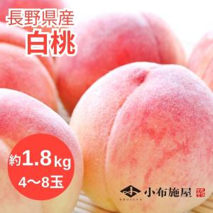 旬の白桃 約1.8kg /冷蔵便 送料無料 長野 産地直送 桃 フルーツ 果物 信州 小布施 数量限定