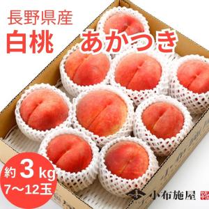 桃 あかつき 約3kg /冷蔵便 送料無料 長野 産地直送 フルーツ 果物 デザート 信州　御中元