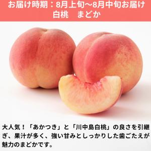 桃 まどか 約3kg 6〜12玉前後/冷蔵便 ...の詳細画像1