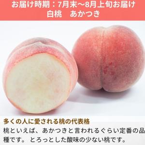桃 あかつき 約3kg /冷蔵便 送料無料 長...の詳細画像1
