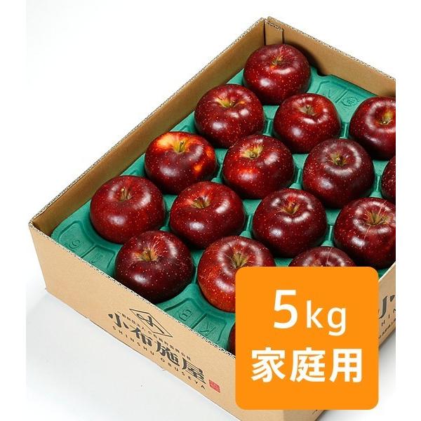 りんご 秋映 ご家庭用 約5kg /常温便 送料無料 長野 産地直送 フルーツ 果物 訳あり 信州 ...