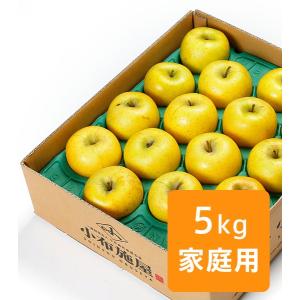 りんご シナノゴールド ご家庭用 約5kg /常温便 送料無料 長野 産地直送 フルーツ 果物 訳あり 信州 数量限定 産直