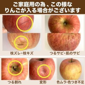りんご サンふじ『風のいたずら』家庭用 約5k...の詳細画像4