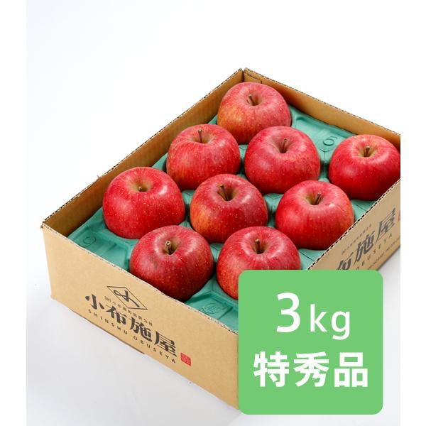 りんご サンふじ 特秀品 約3kg /常温便 送料無料 長野 産地直送 果物 フルーツ 贈答 ギフト...