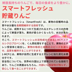 スマートフレッシュりんご サンふじ 秀品 約3...の詳細画像3