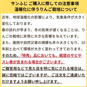 スマートフレッシュりんご サンふじ 秀品 約3...の詳細画像5